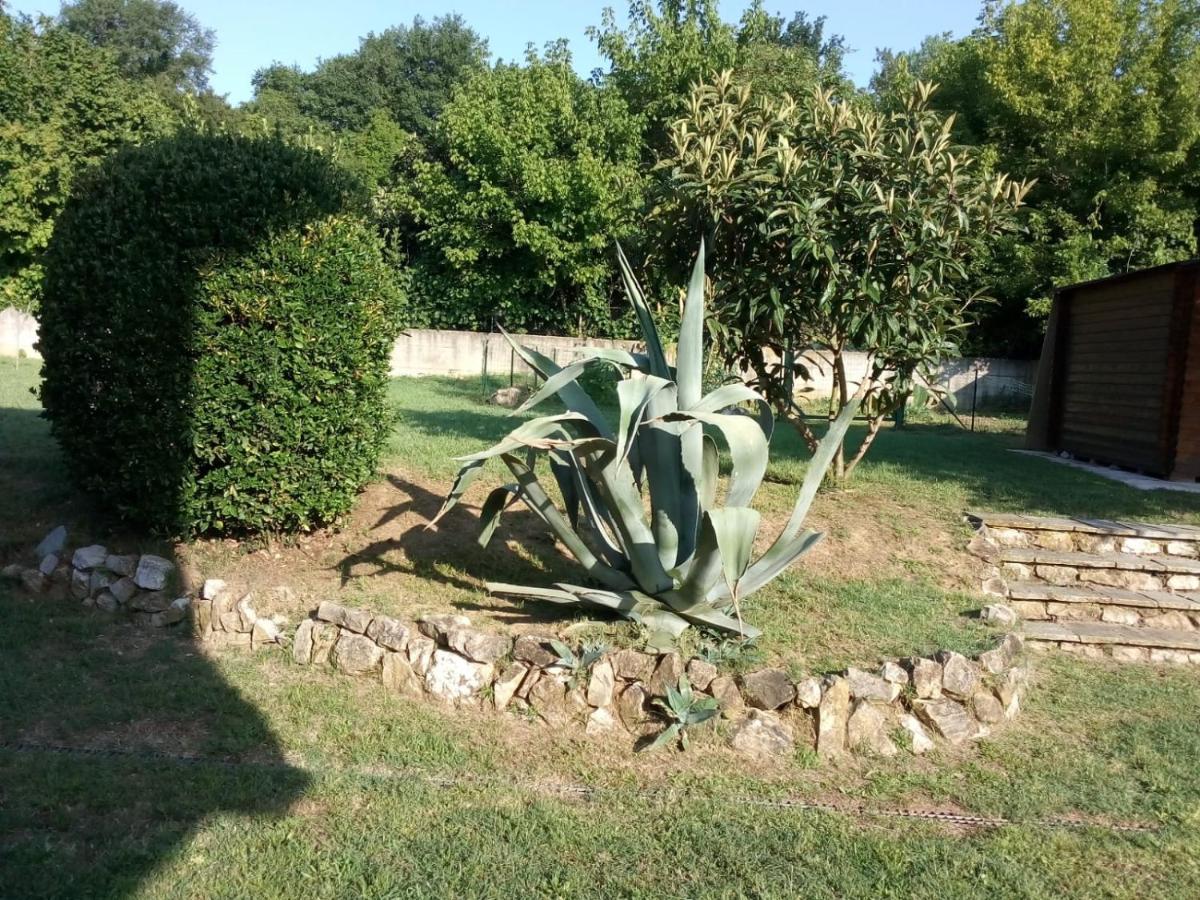 Greentuscany Forcoli Bagian luar foto
